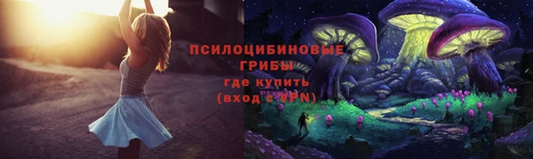МДПВ Алзамай