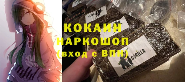ешки Алексин