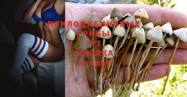 крисы Лабытнанги