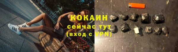 ГАЛЛЮЦИНОГЕННЫЕ ГРИБЫ Ладушкин
