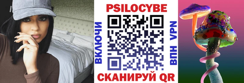 Галлюциногенные грибы Psilocybe  мега ссылки  Керчь 