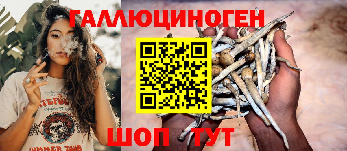 Псилоцибиновые грибы ЛСД Керчь