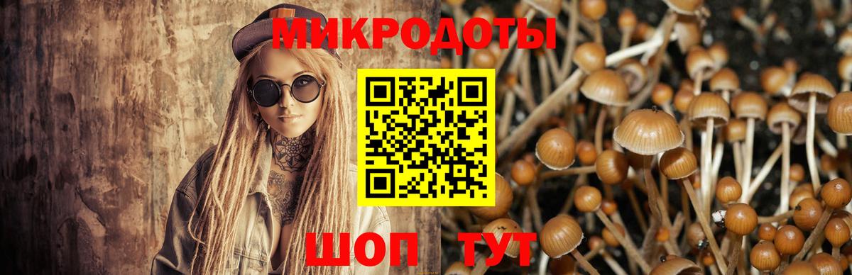 Керчь  Галлюциногенные грибы мухоморы  Вход с VPN  Галлюциногенные грибы GOLDEN TEACHER 